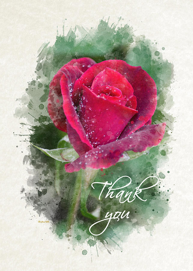 Red Rose Watercolor Thank You Card Mixed Media by Christina Rollo