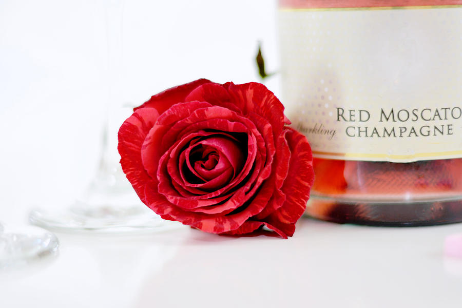 Red Rose With Champagne Photograph by Serena King