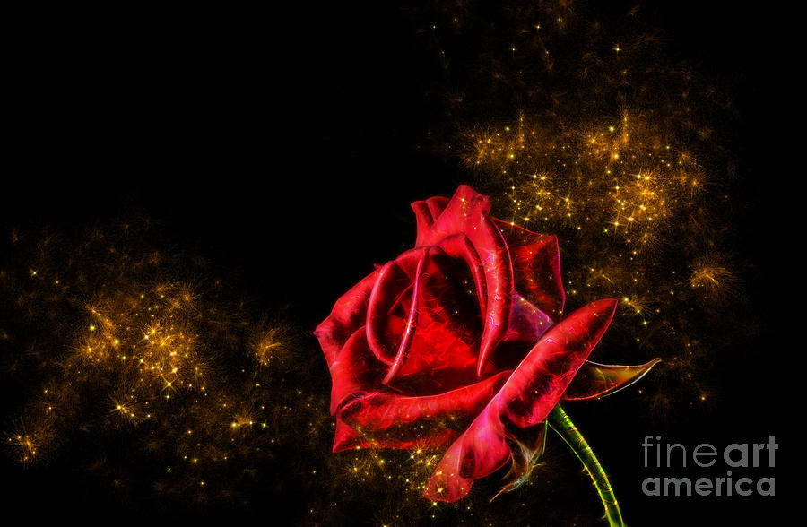 Red Rose with Pixie Dust by Tracey Everington Red Rose with Pixie Dust by Tracey Everington