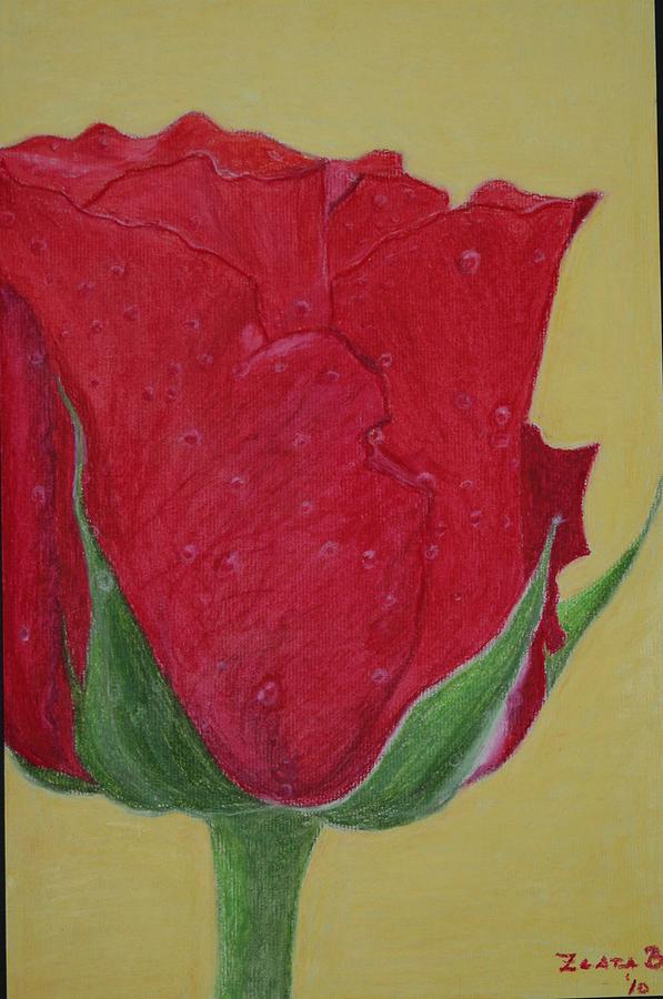 Still Life Drawing - Red Rose by Zlata  Bajramovic