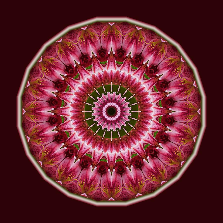 Red Roses and Thorns by Lynde Young Red Roses and Thorns by Lynde Young