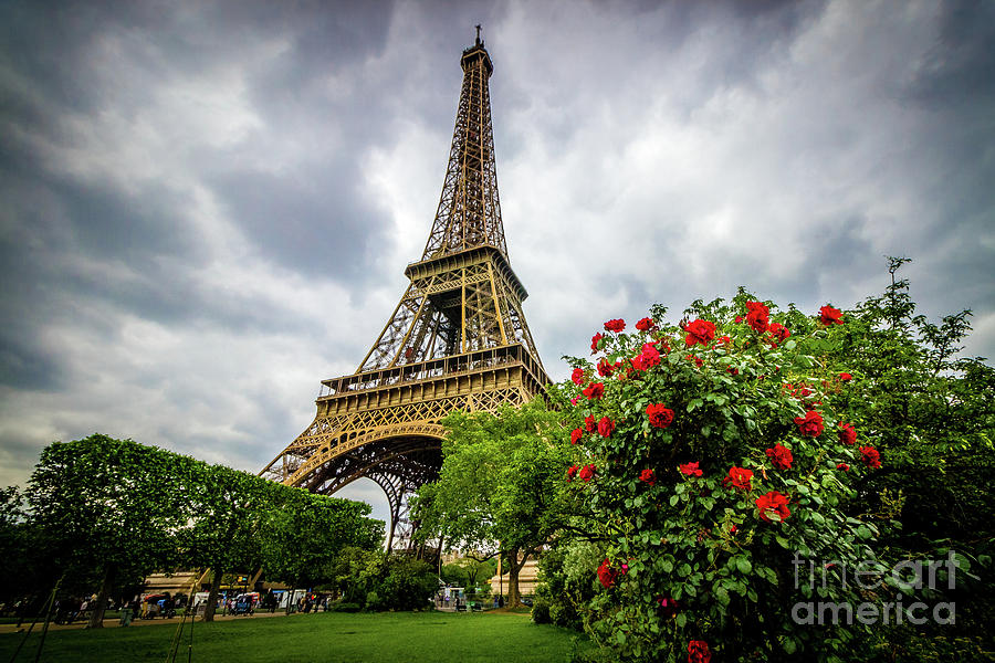Red Roses At Eiffel Tower Garden, Paris, Color Photograph by Liesl Walsh