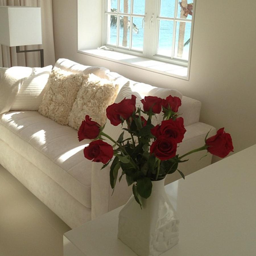Red Roses In A Room Photograph by Juan Silva