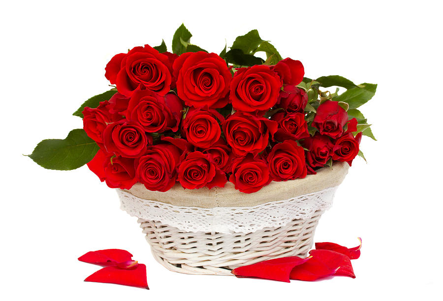 Red Roses in Basket Photograph by Anastasy Yarmolovich