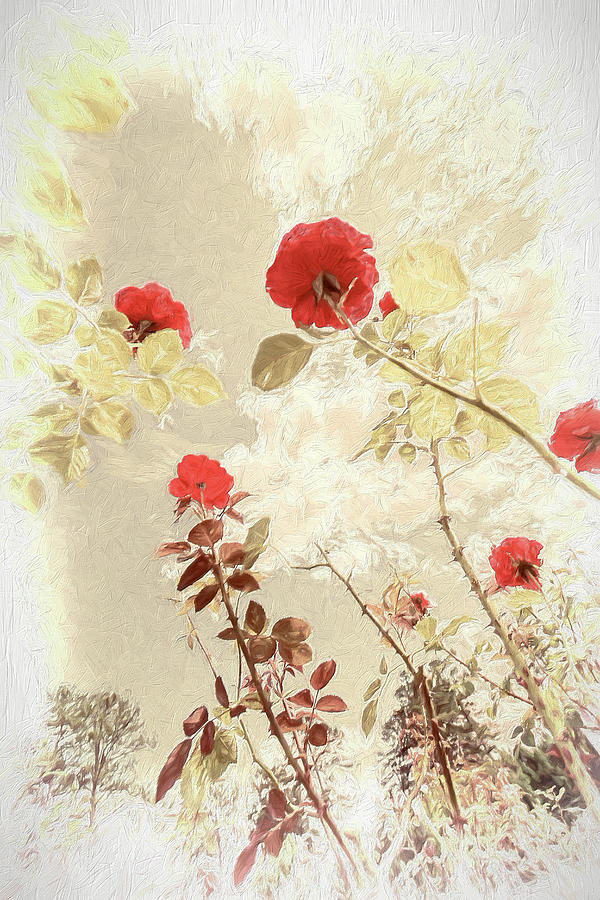 Red Roses in North Carolina AP Painting by Dan Carmichael