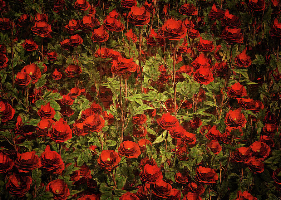 Red roses Painting by Jan Keteleer