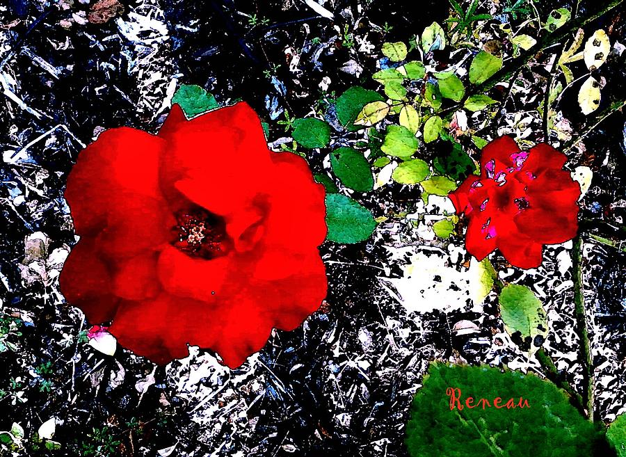 RED ROSES LG and SM Photograph by A L Sadie Reneau