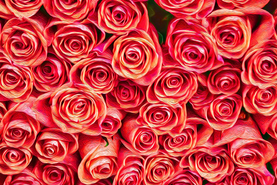 Red Roses Wall Decoration Fine Art Photograph by John Williams