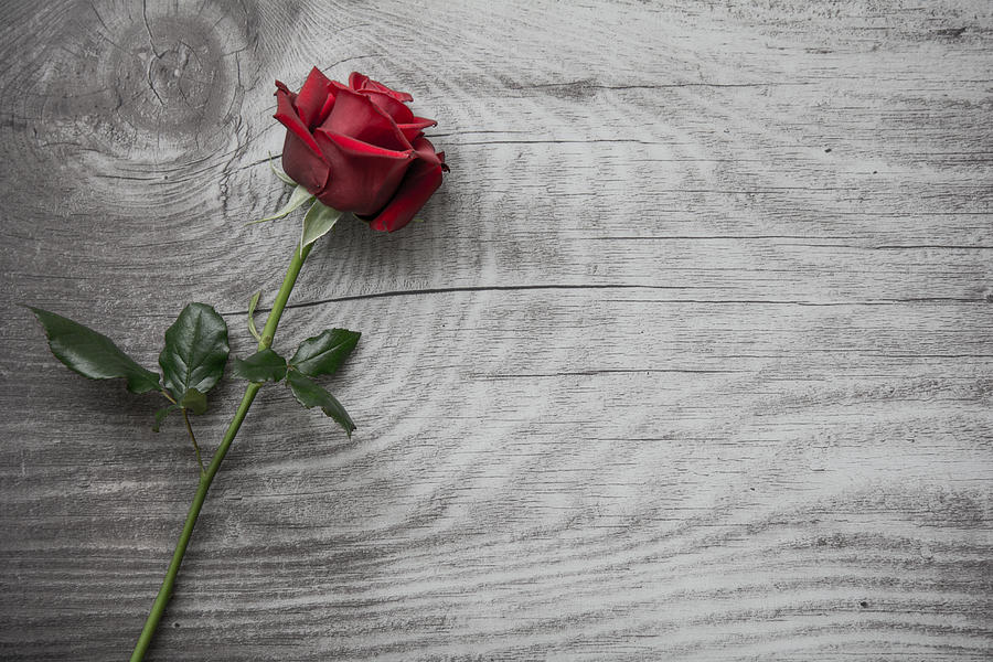 Download Red roses wooden background Photograph by Benjamin Boeckle