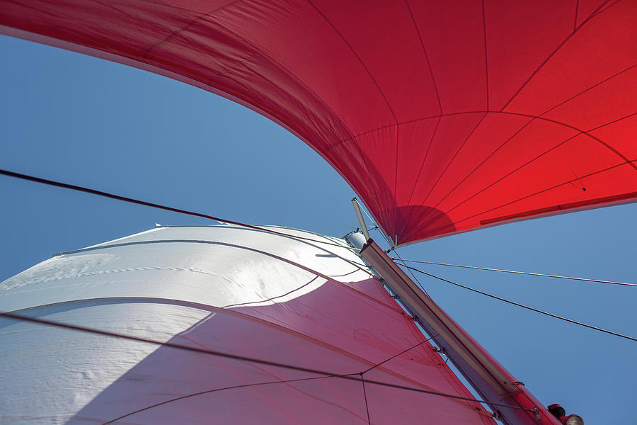 Red Sail on a Catamaran 3 Photograph by Clare Bambers