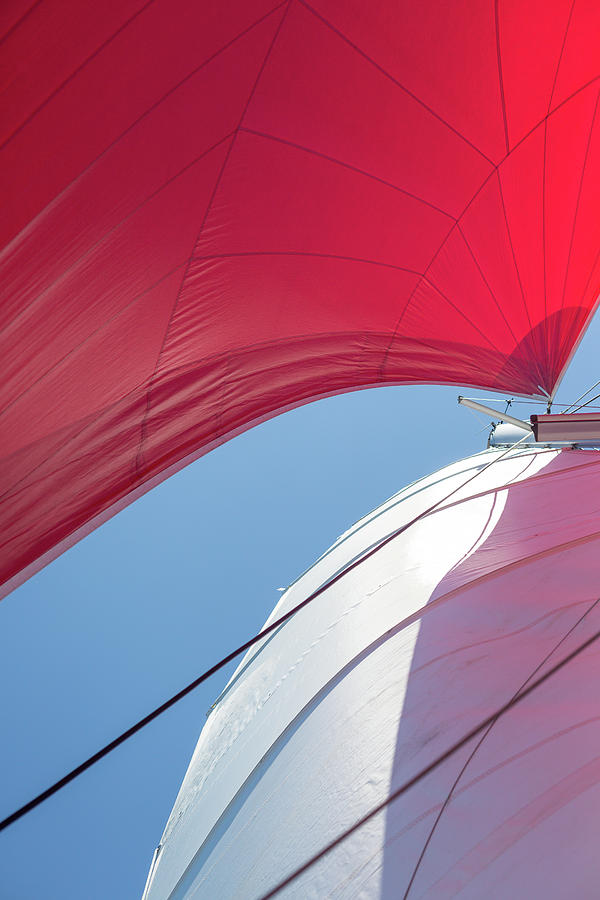 Red Sail on a Catamaran 4 Photograph by Clare Bambers