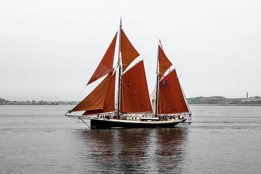 Red Sails Photograph by Greg Fortier