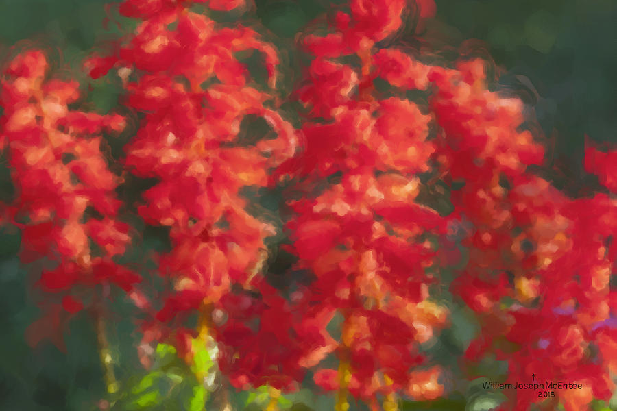 Red Salvia in the Evening Sun Painting by Bill McEntee