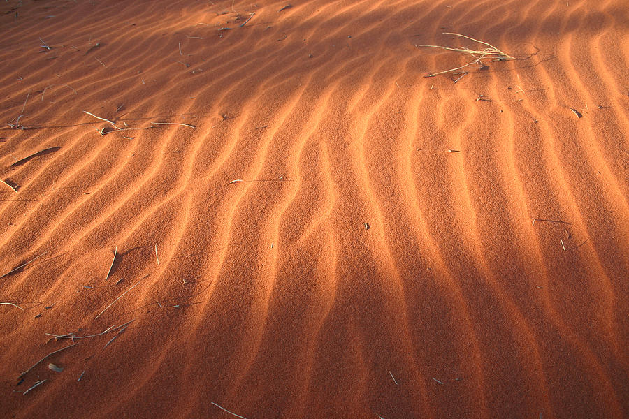 Red sand dune ripples in detail by Keiran Lusk Red sand dune ripples in detail by Keiran Lusk