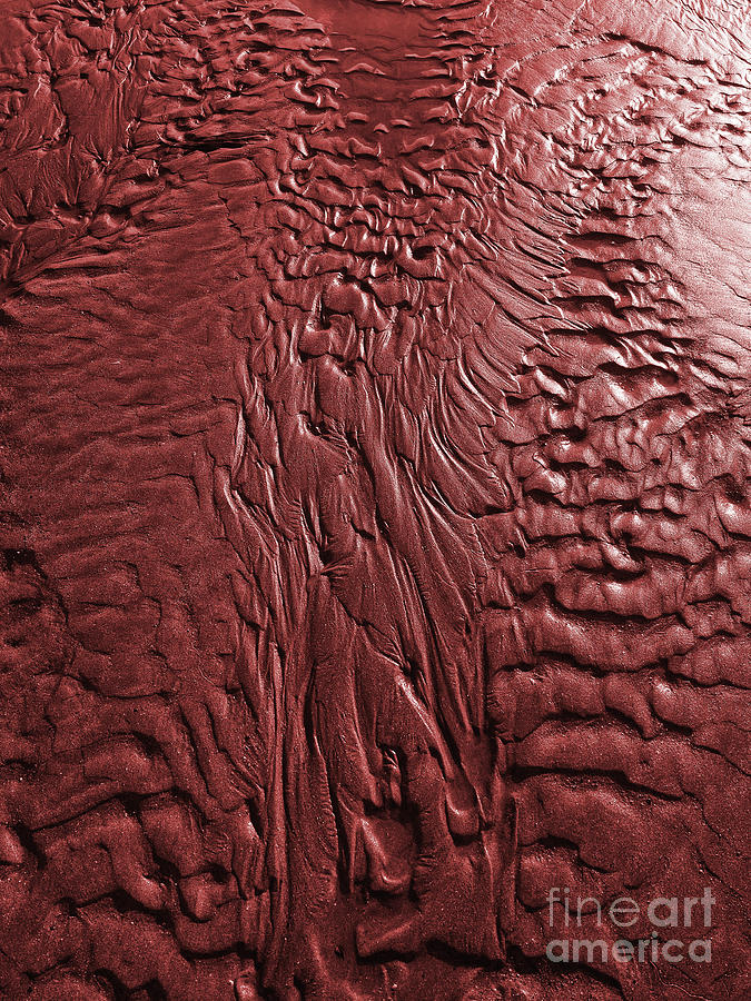Red Sands Photograph by Nicholas Burningham