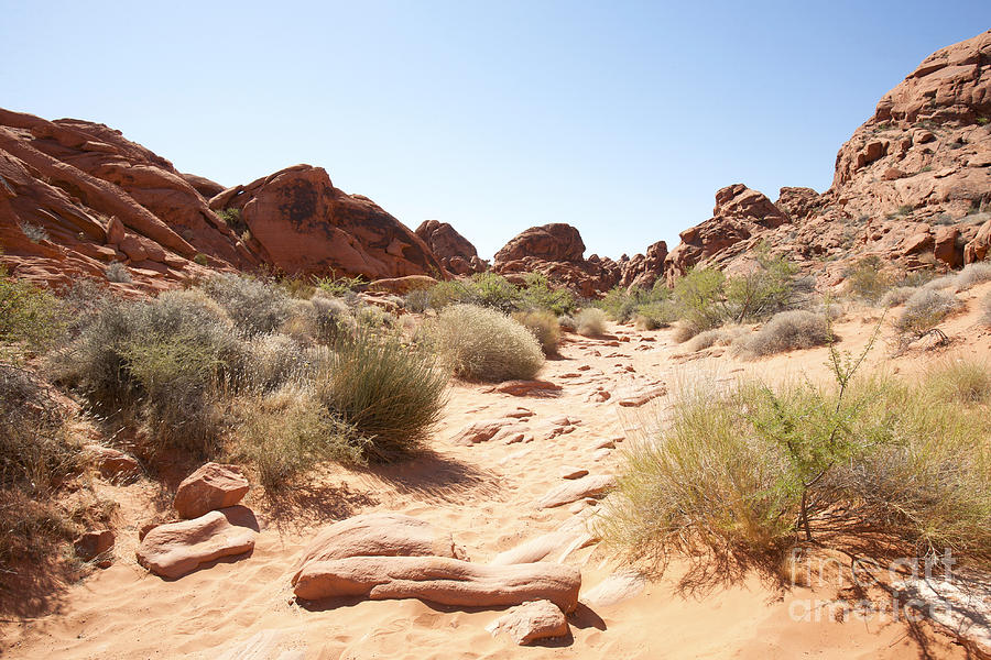 Red Sandstone Desertscape Photograph by Karen Foley