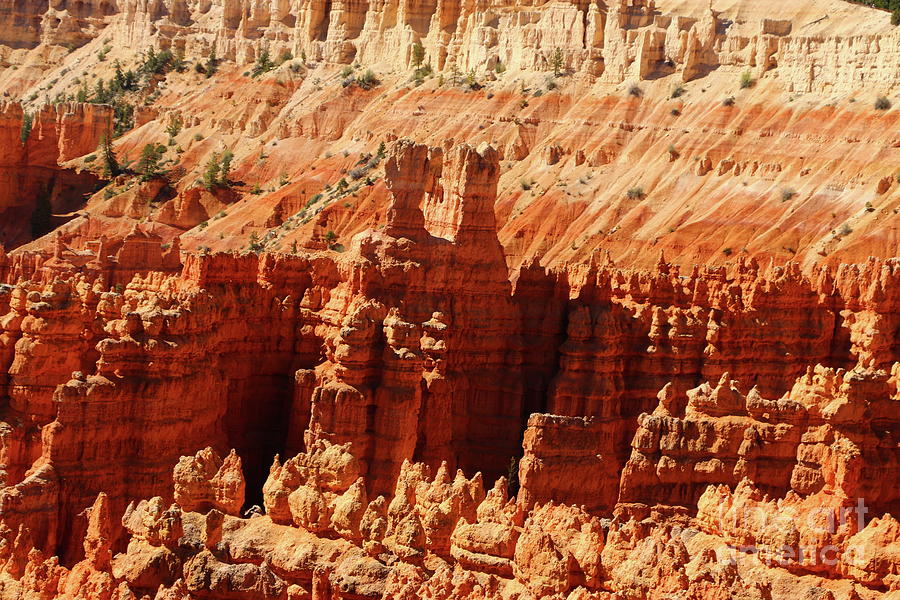Red Sandstone Hoodoos Photograph by Christiane Schulze Art And Photography