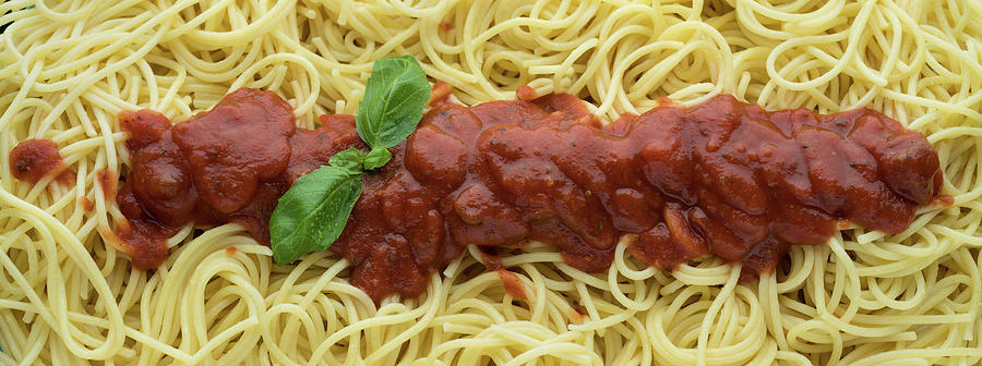 Spaghetti Photograph - Red Sauce and Spaghetti Panorama by Steve Gadomski