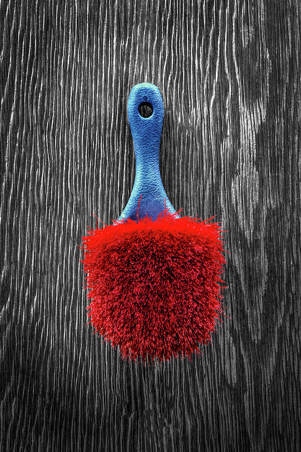 Red Scrub Brush On Plywood 56 on BW Photograph by YoPedro