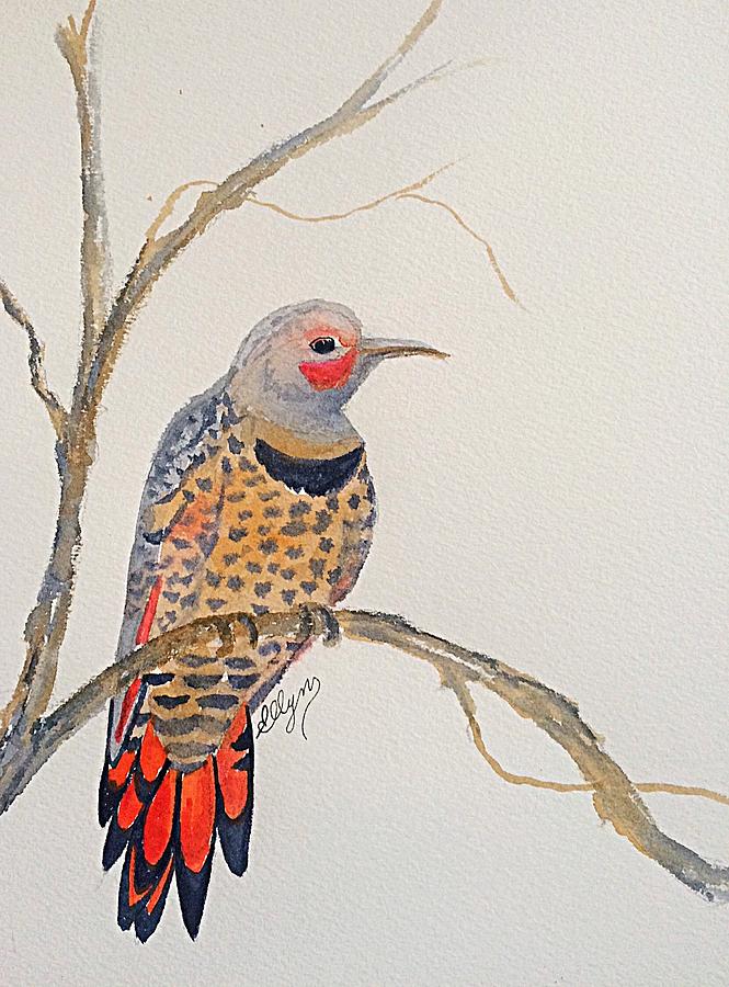 Red - Shafted Flicker - Woodpecker  Painting by Ellen Levinson