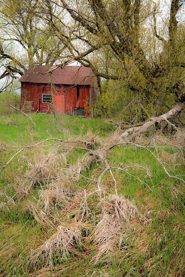 Red Shed 2 Photograph by Jim Vance