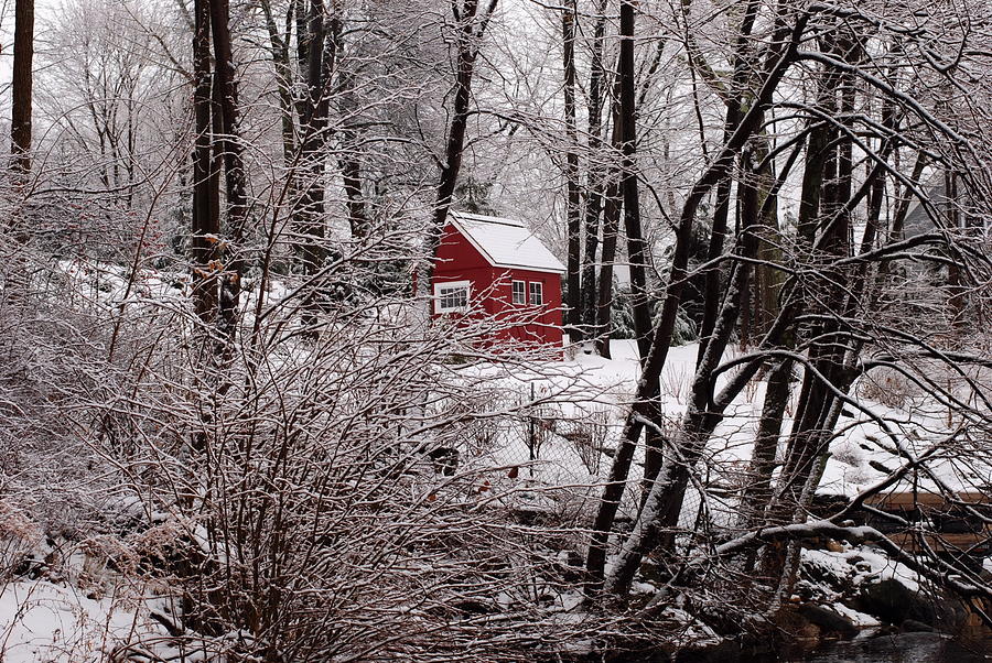 Red Shed Photograph by Andrea Simon