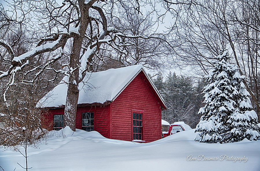 Red Shed Photograph by Ann Dinsmore - Fine Art America