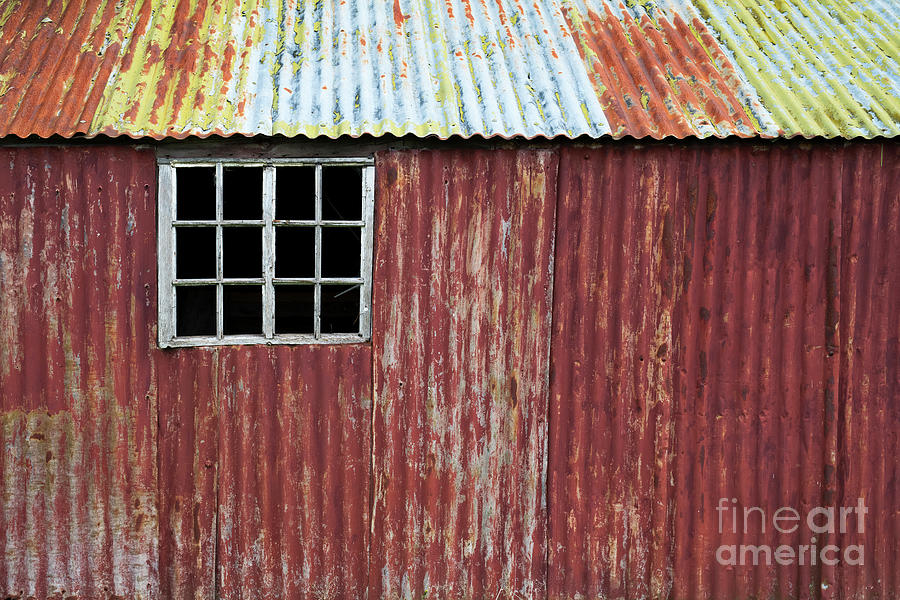 Red Shed Photograph by Tim Gainey