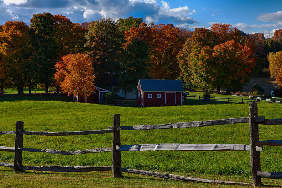 Fall Photograph - Red sheds and orange fall foliage by Jeff Folger