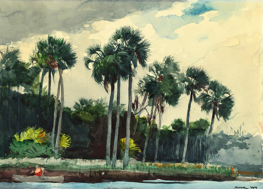 Tree Painting - Red Shirt Homosassa Florida by Winslow Homer