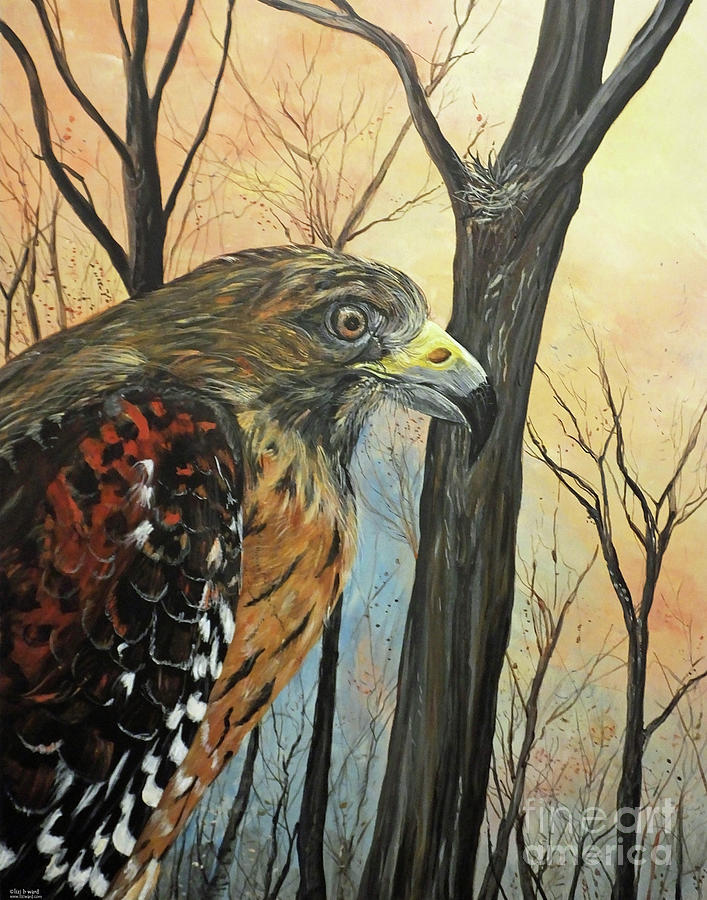 Red Shouldered Hawk at the Chattahoochie Nature Center in Roswell GA  Painting by Lizi Beard-Ward
