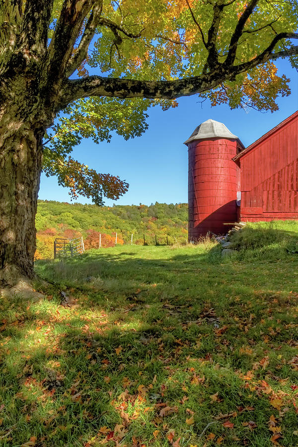 Red Silo Photograph by Tom Singleton