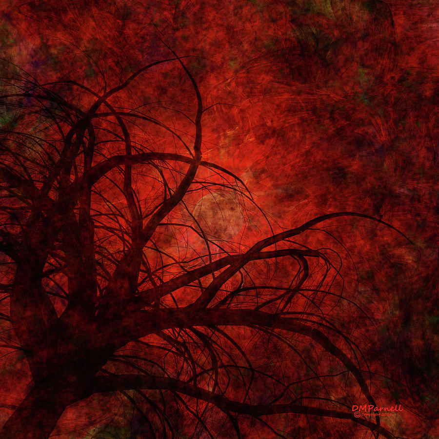 Red Sky At Night Digital Art by Diane Parnell