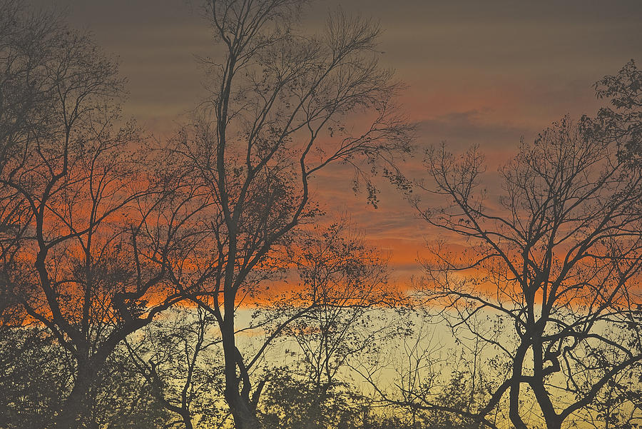 Sunset Photograph - Red Sky at Night by Gwendolyn Christopher