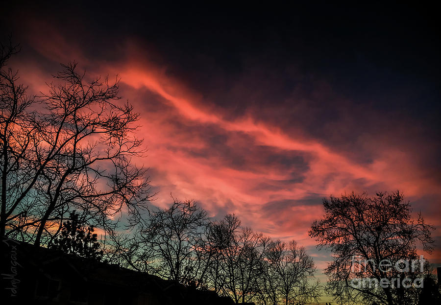 Red Sky At Night... Photograph by Margaux Dreamaginations