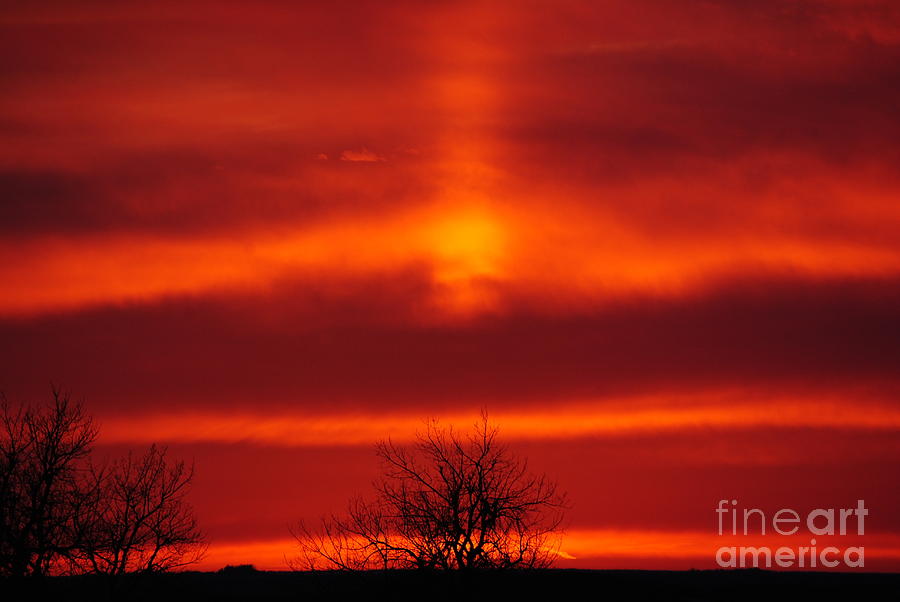 Red sky Photograph by Brandon Finister - Fine Art America