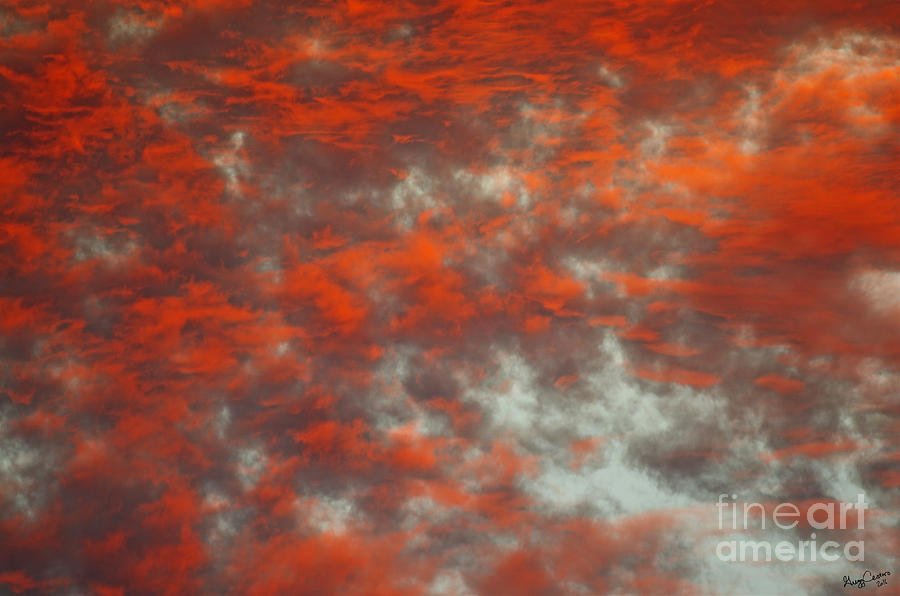 Red Sky Photograph by Gregg Cestaro