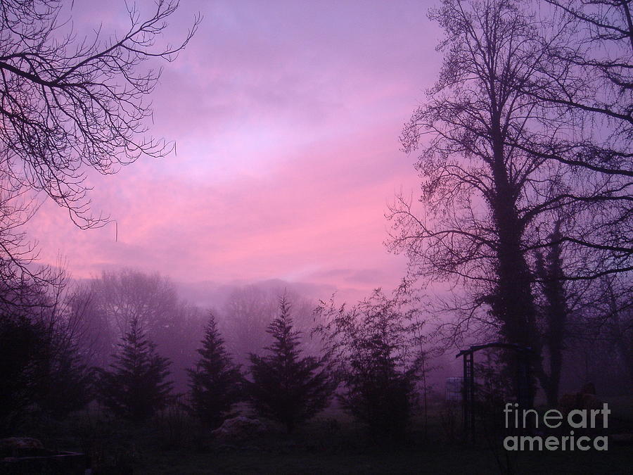 Red sky in the Morning Photograph by Angela Cartner