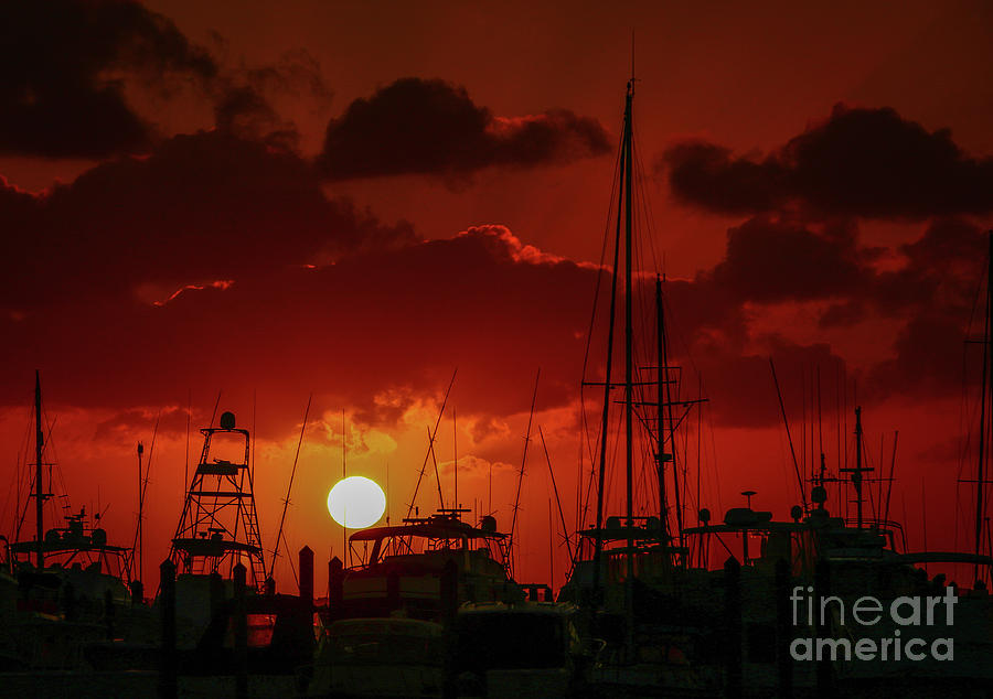 Nature Photograph - Red Sky Marina Sunrise by Tom Claud