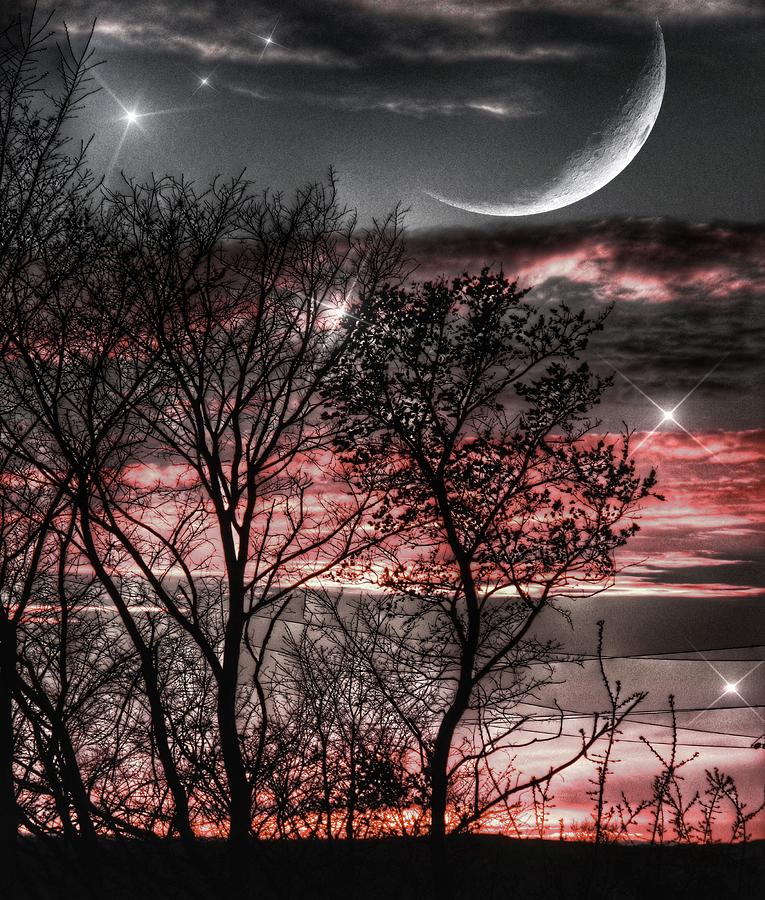 Red Sky Moon Photograph by Marianna Mills