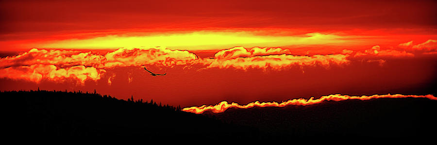 Red Sky by Richard Farrington Red Sky by Richard Farrington