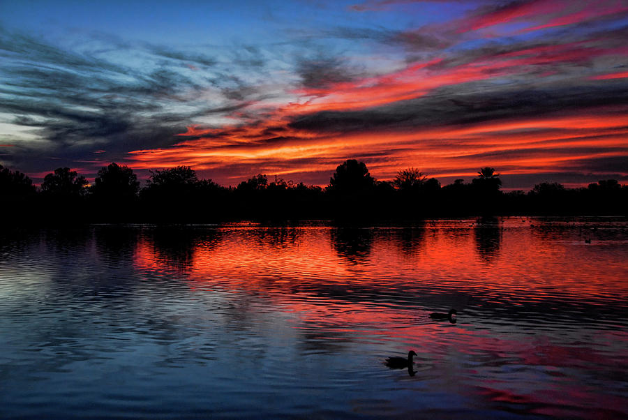 Sunset Photograph - Red Sky by Saija Lehtonen