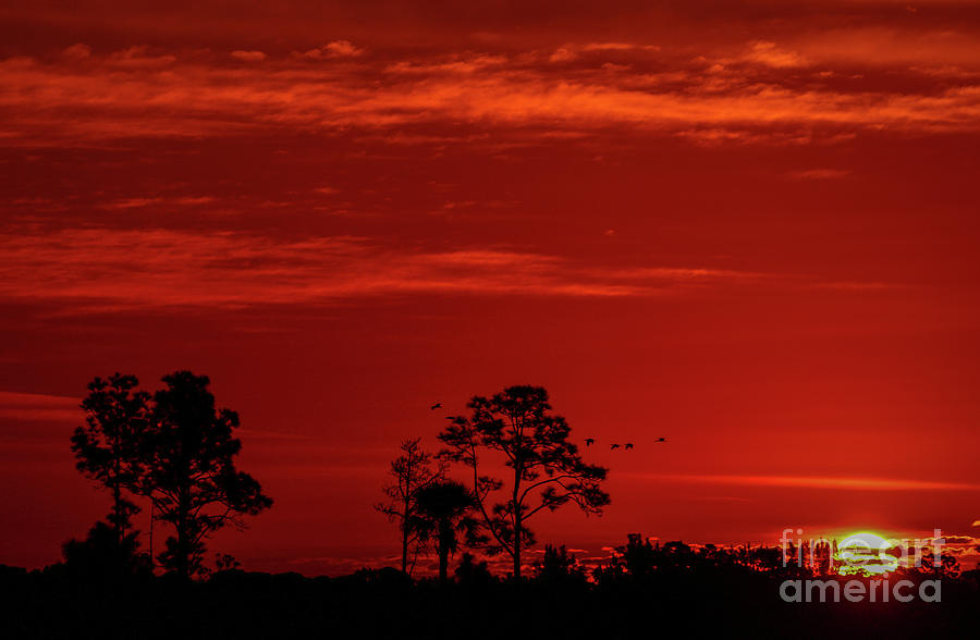 Red Sky Sunrise Photograph by Tom Claud