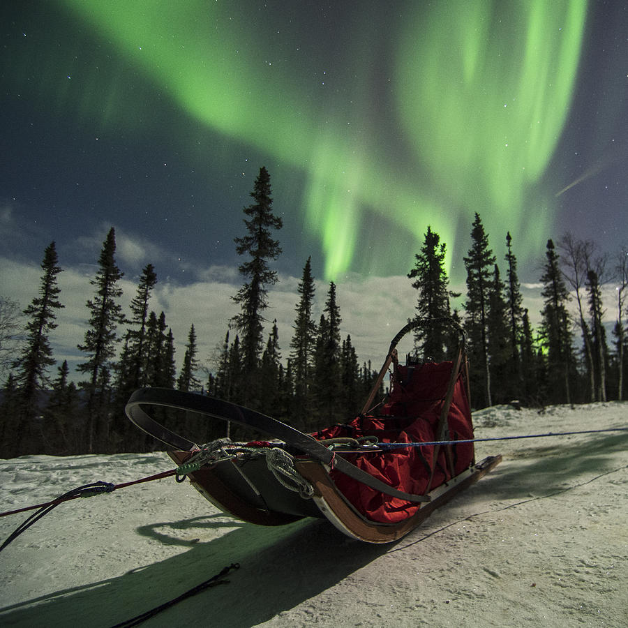 Red sled aurora custom 1x1 Photograph by Ian Johnson