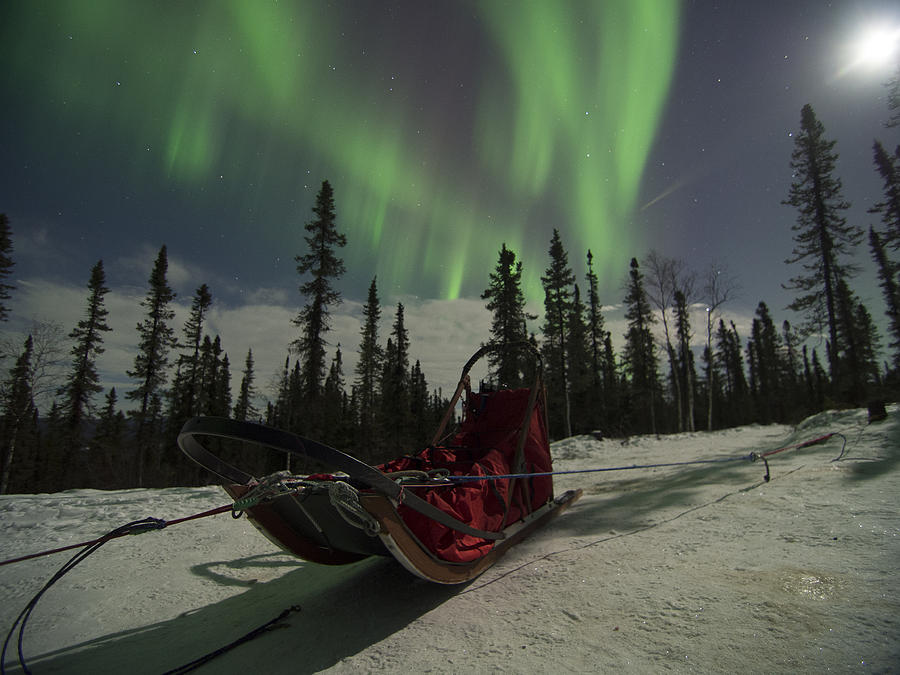 Red-Sled Aurora Photograph by Ian Johnson