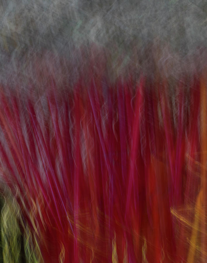 Red Smoke Abstract Photograph by Linda Steele