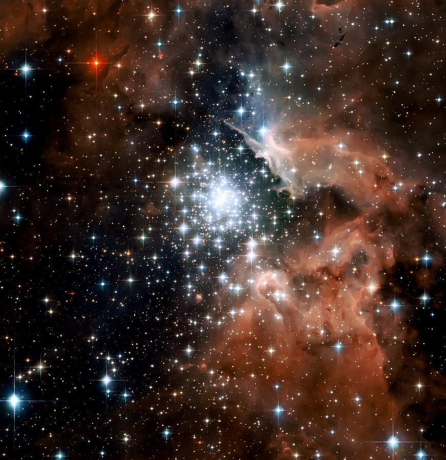 Red Smoke Star Cluster Photograph by Jennifer Rondinelli Reilly - Fine Art Photography