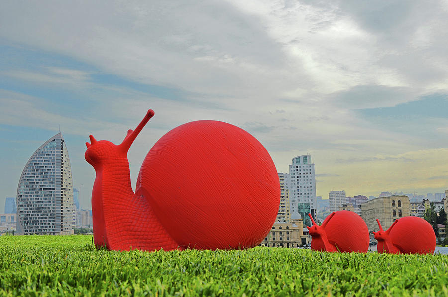 Red Snail Photograph - Red snail. Trump International Hotel.  by Andy i Za