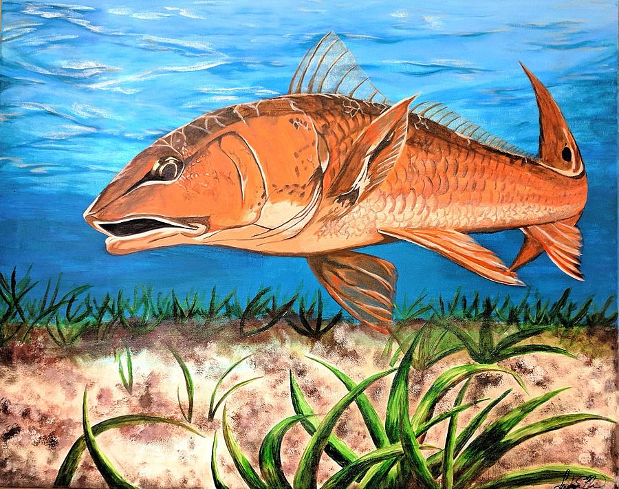 Red Snapper Painting by Stephanie Brown Fine Art America