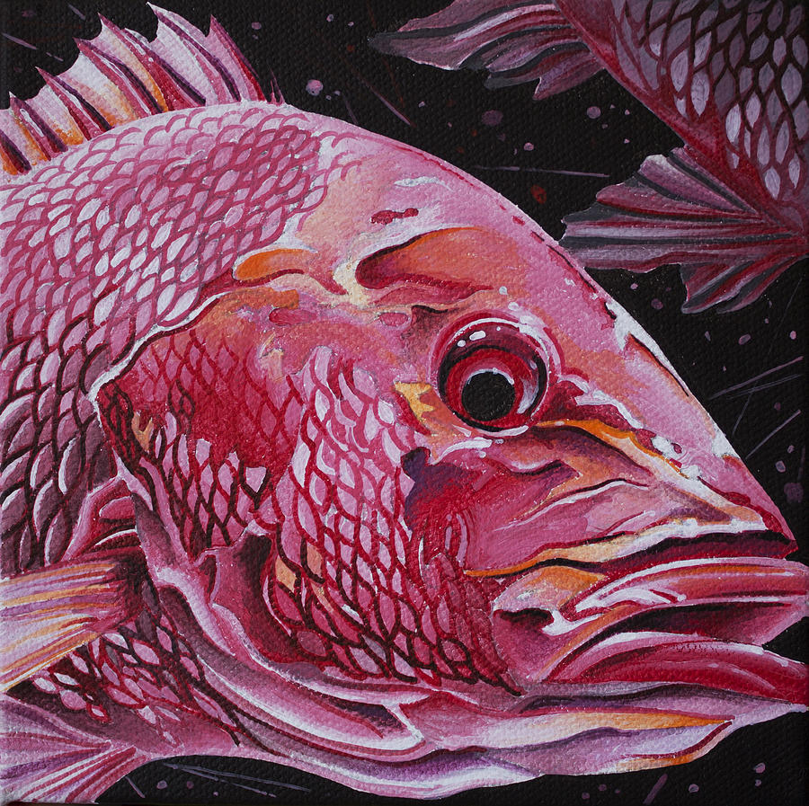 Red Snapper Painting by William Love